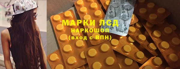 PSILOCYBIN Магас