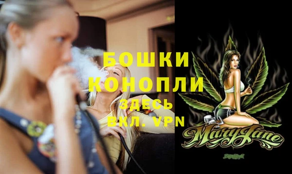 PSILOCYBIN Магас