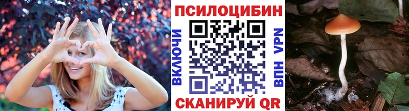 как найти закладки Любань KRAKEN зеркало Псилоцибиновые грибы Psilocybe
